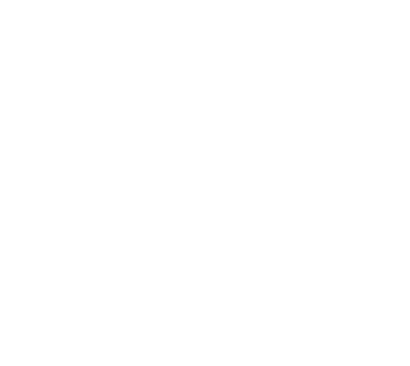 bike-lining